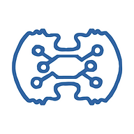 BrainCapture ApS