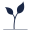 Grow Yoga I/S