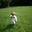 Froghill Hunde- og Kattesalon