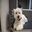 Hundesalon Vuf