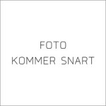 Dansk Infektionspædiatrisk Selskab