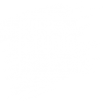 POPP STUDIO