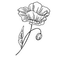 Valmuen Design