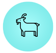 Shave the Goat ApS