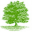 Taplow Executive Interim ApS