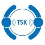 Talestemmen.dk