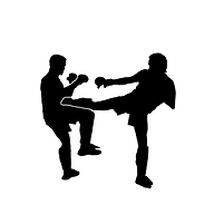 TG Martial Arts & Performance