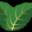 Mynte Thai Cuisine ApS