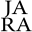 Andersen Research Advisory