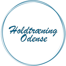 Holdtræning Odense ApS