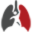 Alkali ApS