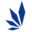 Medicinsk Cannabis Industri