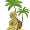 Skildpaddeshop
