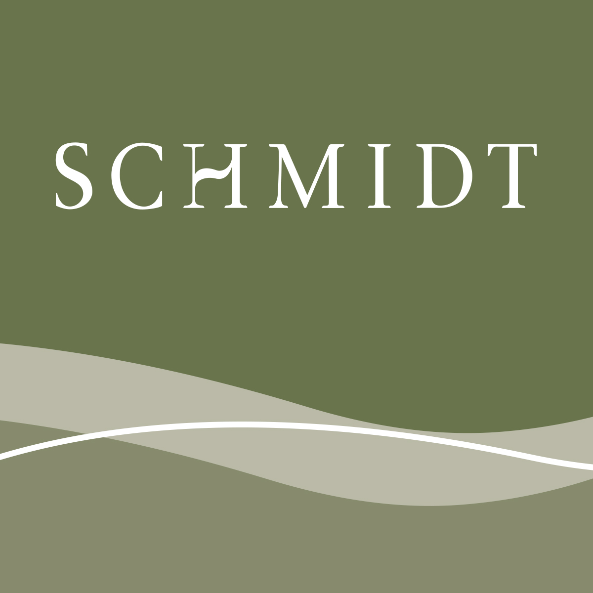 Salon Schmidt