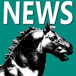 News Netavis, Randers