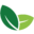 T.O Planter