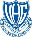 VHGs Støtteforening