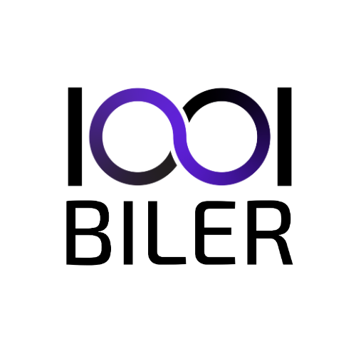 1001 BILER A/S
