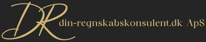 din-regnskabskonsulent.dk ApS