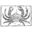 Tim Dencker - Undervandsfotografi