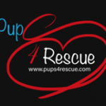 pups4rescue