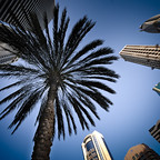Carsten Witt Consultancy