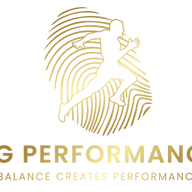 SGperformance