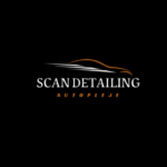 Scan Detailing