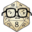 Nerdydice