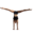 MilleMy
