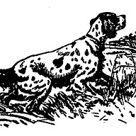 Engelsk Setter Klub i Danmark