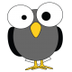 Why Not Birds?