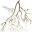 AgriBiomes