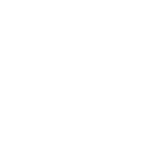 RaaX I/S