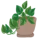 Indretningmedplanter