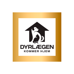 Dyrlægen kommer hjem