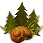 Sneglehuset i skoven