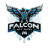 FalconNXT