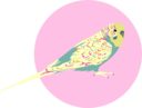 We Love Birds ApS