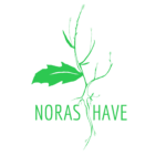 Noras Have Records
