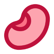 redbean