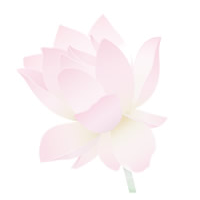 Meditere Krop Og Sind