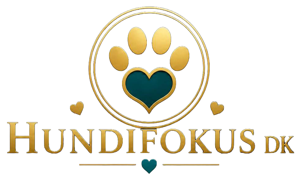 Hundifokus
