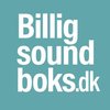 Borge Udlejning