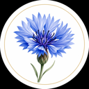 Kornblomsten ApS