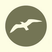Aves Development I/S