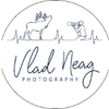 Vlad Neag Photography