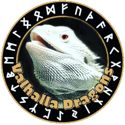 Valhalla Dragons