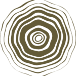 Sound & Somatics by Maya Luna Ostersen
