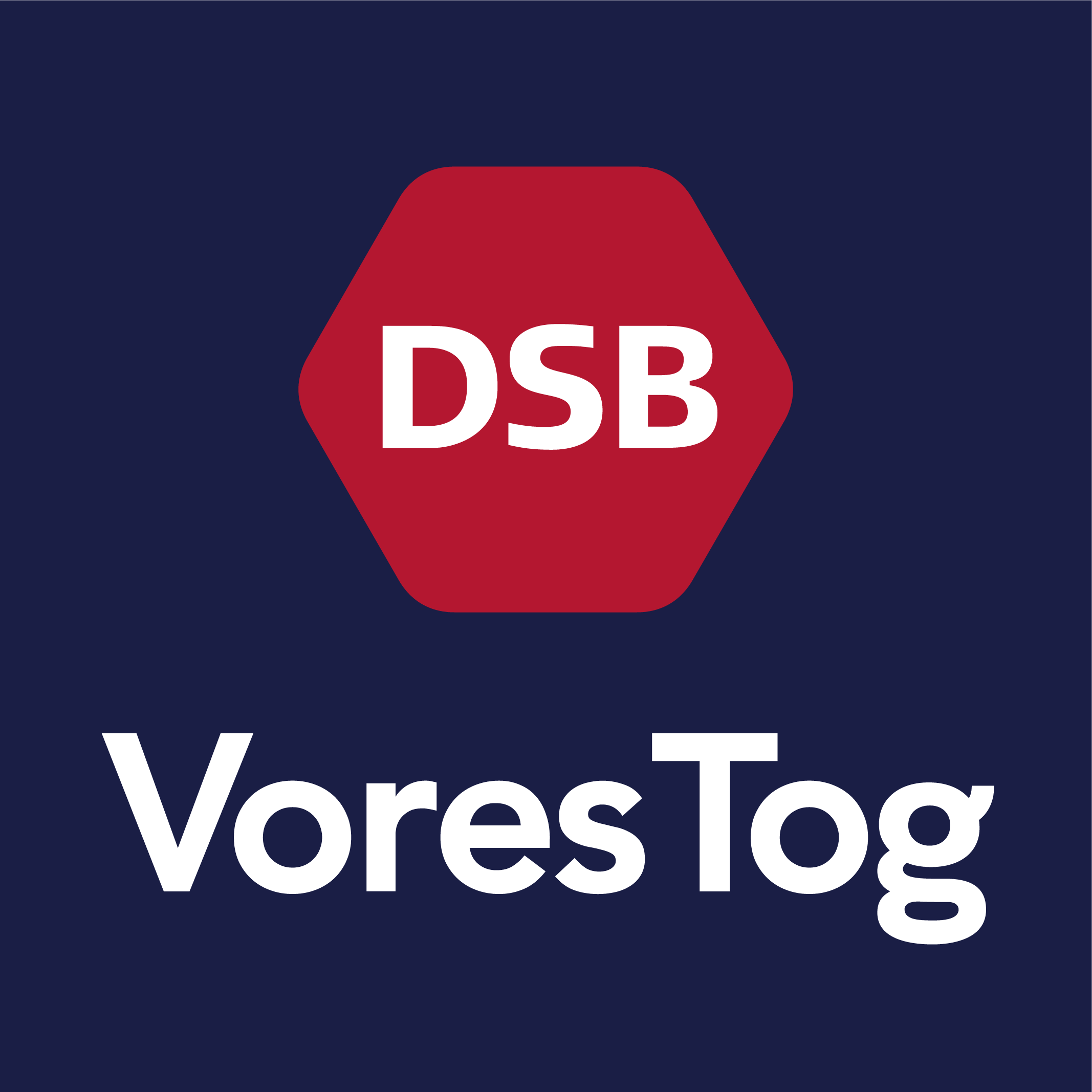 Selskabet af den 13.01.2026 A/S